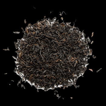 Free Tea Samples